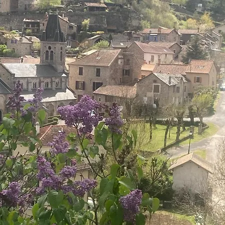 Le Cocon De Celine 別荘